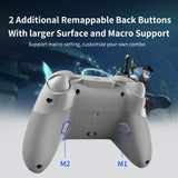 Flydigi Direwolf Gaming Controller Wireless 2-in-1 For PC/Switch/Mobile