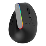 Delux M618C Wireless Mouse Ergonomic Vertical 6 Buttons Gaming Mouse RGB 1600 DPI - Gamer Tech